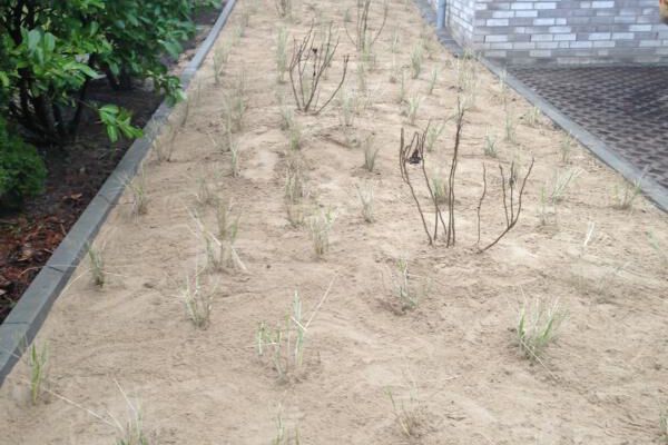Erd- und Pflasterarbeiten Schwartz Gartenbau