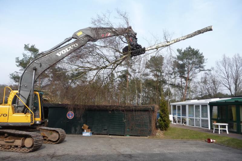 Baufeldräumung / Rodung Schwartz Gartenbau